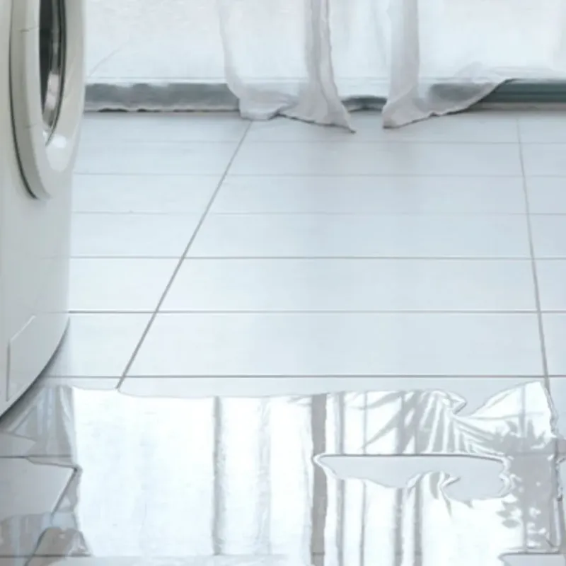 Appliance Leak Cleanup in Lexington-Fayette, KY