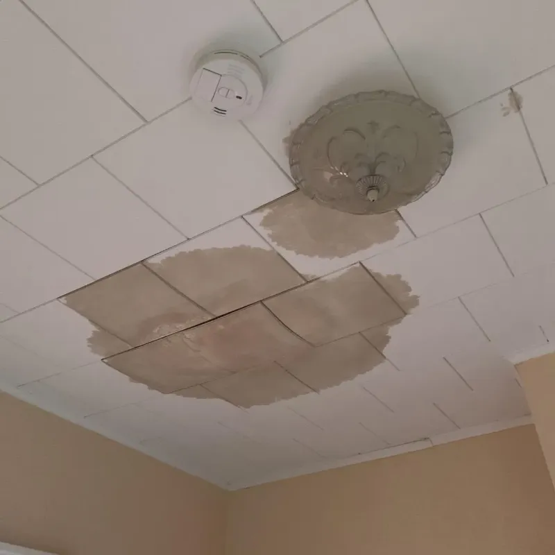 Ceiling Water Damage Repair in Lexington-Fayette, KY