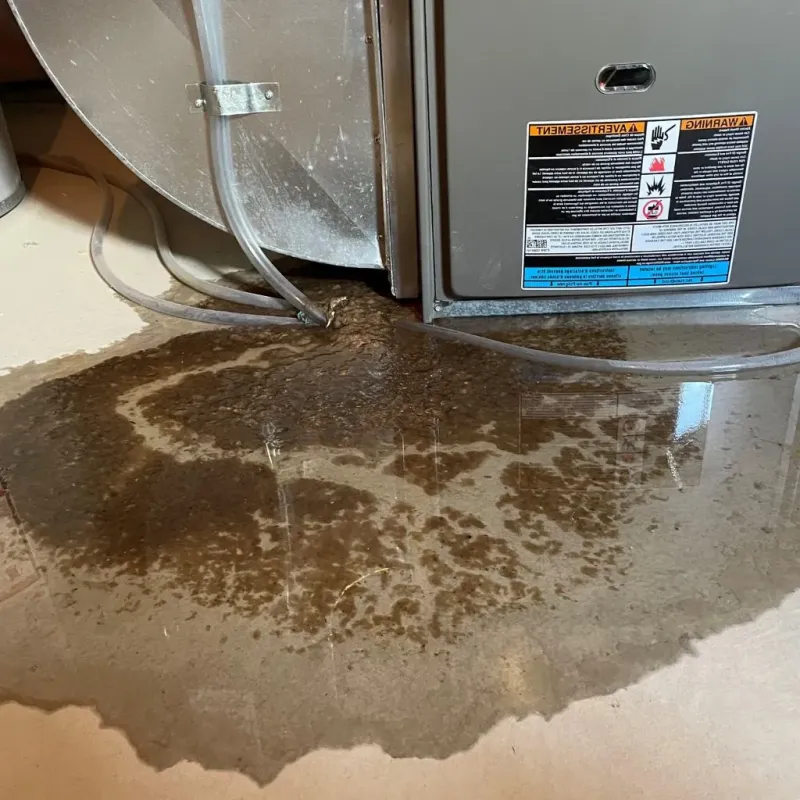 Pipe Burst and Leak Restoration in Lexington-Fayette, KY