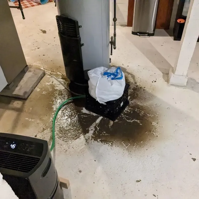 Sewage Backup Cleanup Service in Lexington-Fayette, KY